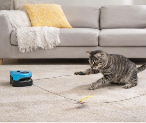 Pawticity Orbit Pro™