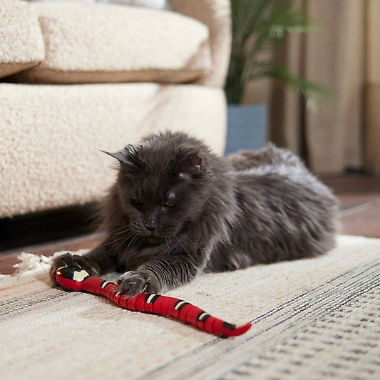 Electric Snake (motion-activated)