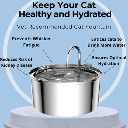 Cat Water Fountain